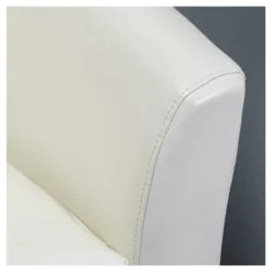 Daymian Faux Leather Swivel Club Chair - Christopher Knight Home 10 Daymian Faux Leather Swivel Club Chair - Christopher Knight Home -Christopher Knight Home GUEST 14015665 e4a5 426b 98f4 fb5f1b7fa0a0