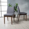 Set Of 2 Dimitri Dining Chair - Christopher Knight Home