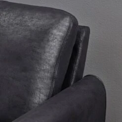 Blithewood Contemporary Club Chair - Christopher Knight Home -Christopher Knight Home GUEST 5e626aad 289a 4729 886d 57c4f38decf1